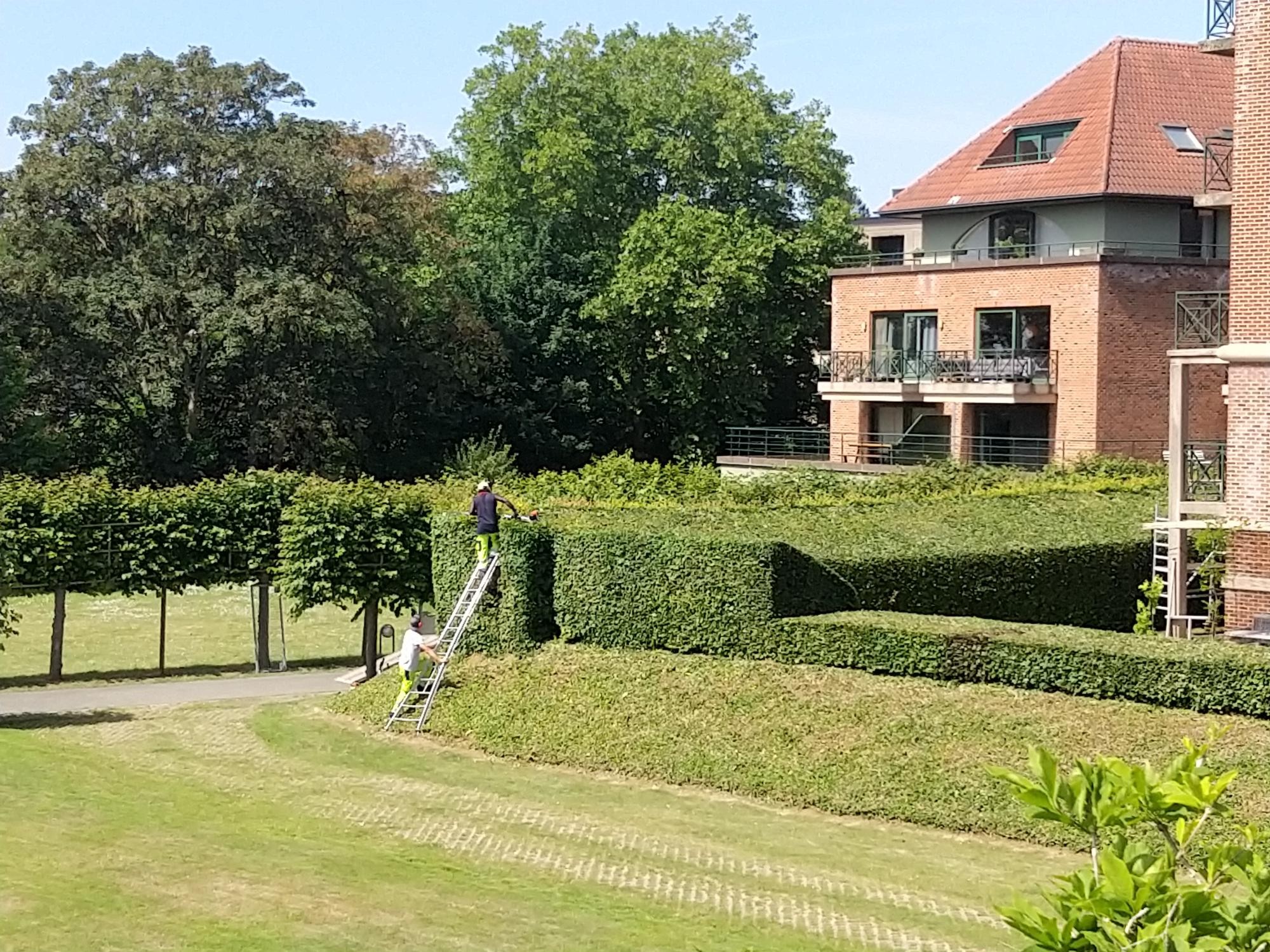 Werk(bege)leider Groenzorg bij IJsedal