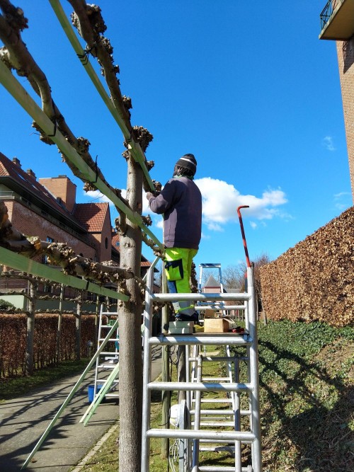 Groendienst IJsedal